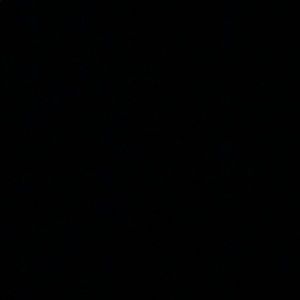 Meet your Posher, Isabel